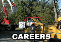 Careers with Weston Arborists