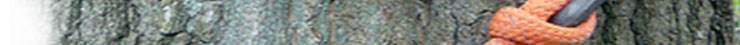 bark