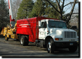 Chipper and Truck