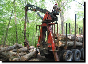 Log Removal
